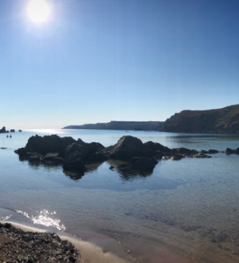 El taller, la escritura y la isla